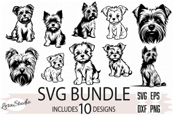 Download Yorkshire Terrier, Yorkie, Dog - Dog Collection