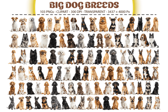 Download Big Dog Breeds Clipart – 103 PNGs - Dog Collection