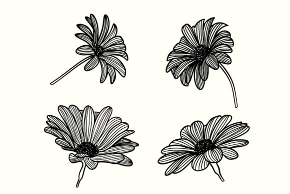 Download Flowers Handrawn - Flowers Collection