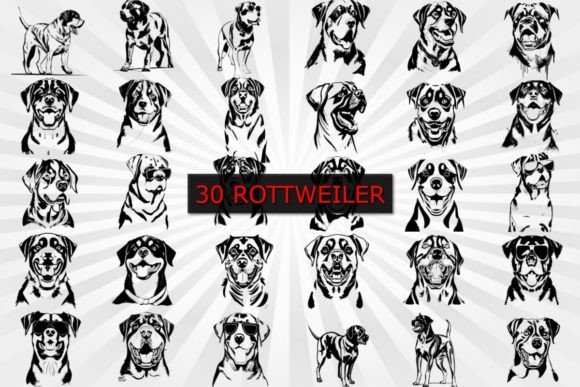 Download 30 ROTTWEILER DOG DESIGN in SVG &amp; PNG - Dog Collection