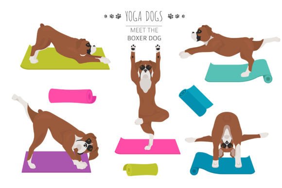 Download Boxer Dog Yoga - Dog Collection