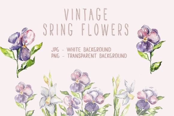 Download Watercolor Flowers Frames - Flowers Collection