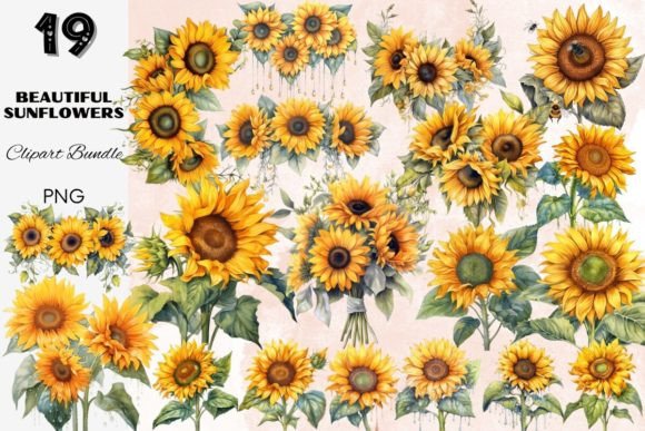 Download Sunflower Summer Sun Flower Sunflowers - Flowers Collection