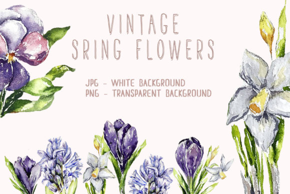 Download Watercolor Flowers Set - Flowers Collection