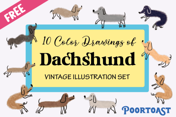 Download Cute Dog Dachshund 10 Clipart - Dog Collection