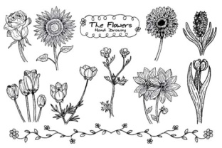 Download Set of Handdrawn Flowers - Flowers Collection