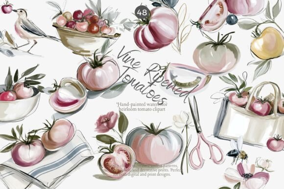 Download Vine Ripened Tomatoes Clipart Set - Premium Resources